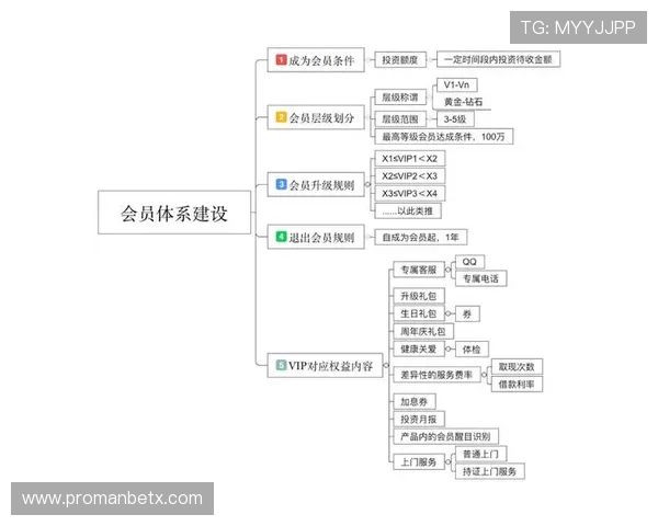 如何充分利用万博会员成长计划中的各项奖励机制，打造属于你的尊贵会员体验